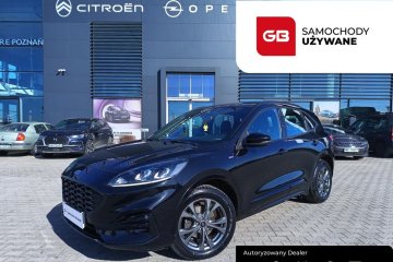 2.0 EcoBlue 190 KM 4x4 ASO Automat PL Salon FV23%