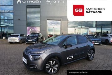 1.2 110KM Max Salon PL Vat 23% Automat Serwis ASO