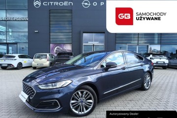 2.0 Ecoblue 190KM Vigniale Automat Vat 23% Salon PL